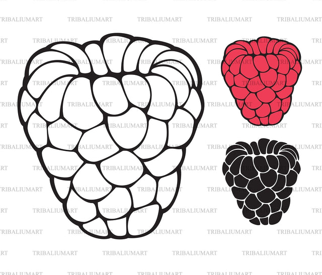 Raspberry fruit SVG TribaliumArtSF 