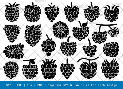 Raspberry Silhouette, Raspberry SVG, Fruits Svg, Blackberry Fruit Svg, Raspberry Bundle, SB00822 SVG ETC Craft 