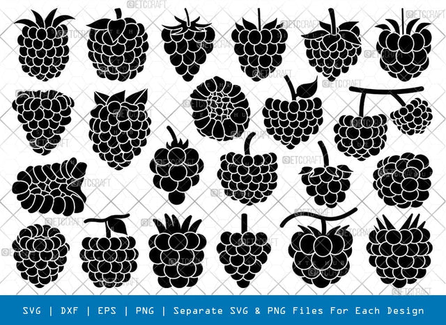 Raspberry Silhouette, Raspberry SVG, Fruits Svg, Blackberry Fruit Svg, Raspberry Bundle, SB00822 SVG ETC Craft 