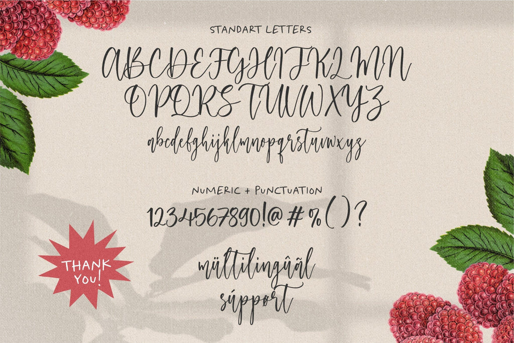 Raspberry Smash Modern Calligraphy Font - So Fontsy