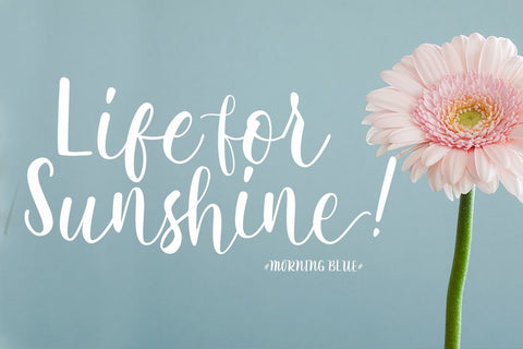 Rathyland Script Font Creatype Studio 