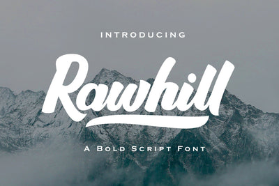 Rawhill - Bold Script Font Font Dm Letter Studio 