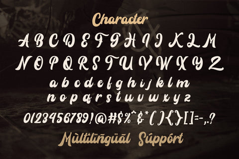 Rayhue - Retro Bold Script Font Font StringLabs 