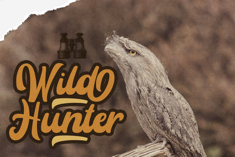 Rayhue - Retro Bold Script Font Font StringLabs 