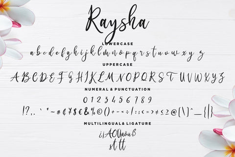 Raysha Signature Handwritten Font Creatype Studio 