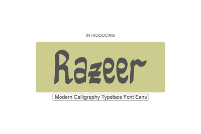 Razeer Sans Font Imunstudio