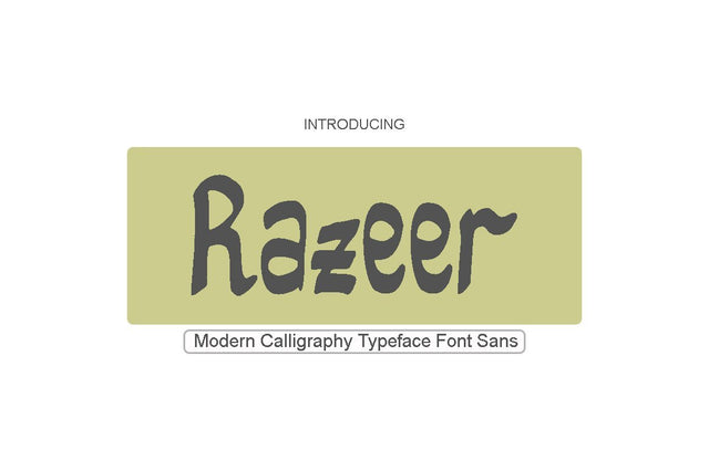 Razeer Sans Font Imunstudio