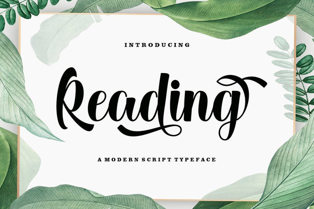 Reading Script Font AngelStudio 