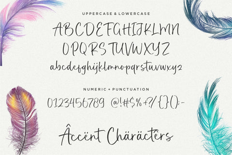 Realistic Feather Font Font Balpirick 