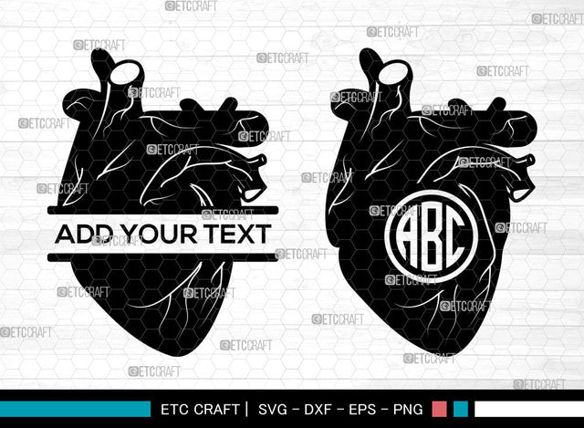 Realistic Heart Monogram SVG, Realistic Heart SVG, Split Monogram Svg, Human Heart Svg, Cardiology Svg, Human Heart Icon Svg, Realistic Heart SVG ETC Craft 