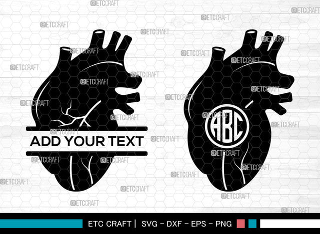Realistic Heart Monogram SVG, Realistic Heart SVG, Split Monogram Svg, Human Heart Svg, Cardiology Svg, Human Heart Icon Svg, Realistic Heart SVG ETC Craft 