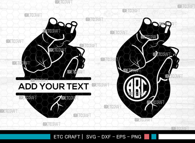 Realistic Heart Monogram SVG, Realistic Heart SVG, Split Monogram Svg, Human Heart Svg, Cardiology Svg, Human Heart Icon Svg, Realistic Heart SVG ETC Craft 