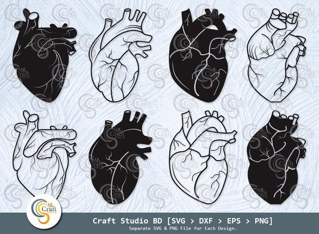 Realistic Heart Silhouette, Realistic Heart SVG, Anatomical Heart Svg, Human Heart Svg, Cardiology Svg, Human Heart Icon Svg, Realistic Heart Bundle SVG ETC Craft 