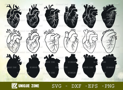 Realistic Heart SVG Bundle | Anatomical Heart Svg | Real Human Heart Svg | Medical Svg | Cardiology Svg | Human Heart Svg | Anatomical Heart Svg | Medical Doctor Anatomy SVG Unique Zone 