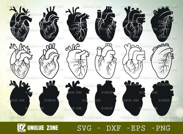 Realistic Heart SVG Bundle | Anatomical Heart Svg | Real Human Heart Svg | Medical Svg | Cardiology Svg | Human Heart Svg | Anatomical Heart Svg | Medical Doctor Anatomy SVG Unique Zone 
