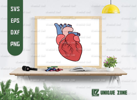 Realistic Heart SVG Bundle, Heart Silhouette, Real Human Heart Svg, Cardiology Svg, Human Heart Svg, SVG Unique Zone 