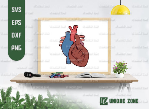 Realistic Heart SVG Bundle, Heart Silhouette, Real Human Heart Svg, Cardiology Svg, Human Heart Svg, SVG Unique Zone 