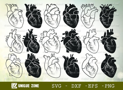 Realistic Heart SVG Bundle, Heart Silhouette, Real Human Heart Svg, Cardiology Svg, Human Heart Svg, SVG Unique Zone 