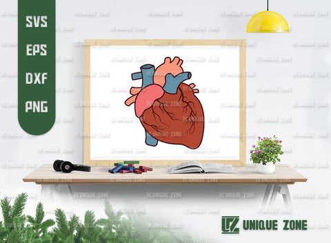 Realistic Heart SVG Bundle, Heart Silhouette, Real Human Heart Svg, Cardiology Svg, Human Heart Svg, SVG Unique Zone 