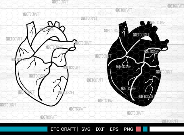 Realistic Heart SVG, Realistic Heart SVG, Anatomical Heart Svg, Human Heart Svg, Cardiology Svg, Human Heart Icon Svg, Realistic Heart SVG ETC Craft 