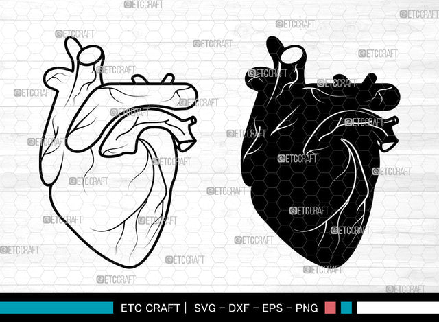 Realistic Heart SVG, Realistic Heart SVG, Anatomical Heart Svg, Human Heart Svg, Cardiology Svg, Human Heart Icon Svg, Realistic Heart SVG ETC Craft 