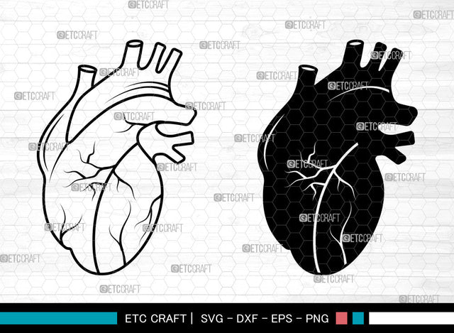 Realistic Heart SVG, Realistic Heart SVG, Anatomical Heart Svg, Human Heart Svg, Cardiology Svg, Human Heart Icon Svg, Realistic Heart SVG ETC Craft 