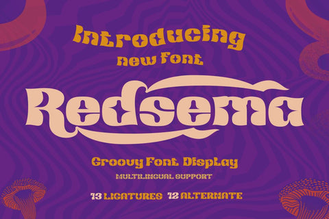 Redsema | Groovy Retro Font Font twinletter 