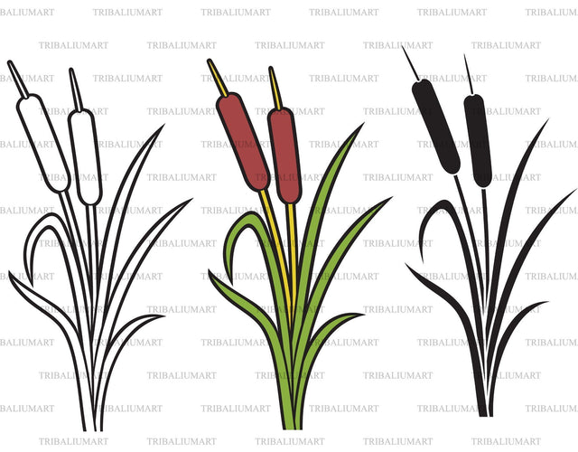 Reeds design - illustration of bulrush SVG TribaliumArtSF 