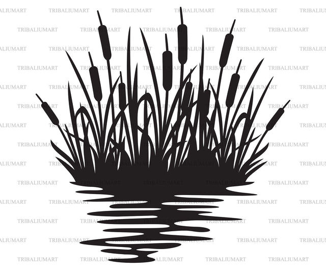 Reeds silhouette design. Illustration of bulrush and grass. SVG TribaliumArtSF 