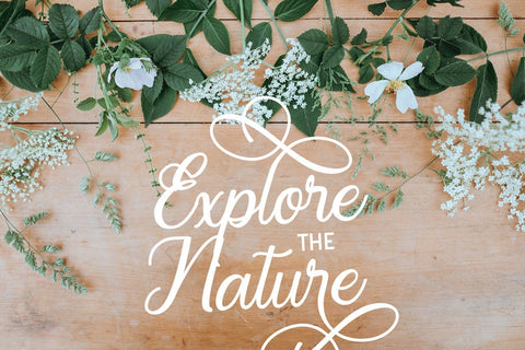 Regalhisa - Calligraphy Script Font Font StringLabs 