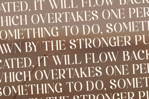 Regikan Typeface Font Storytype Studio 