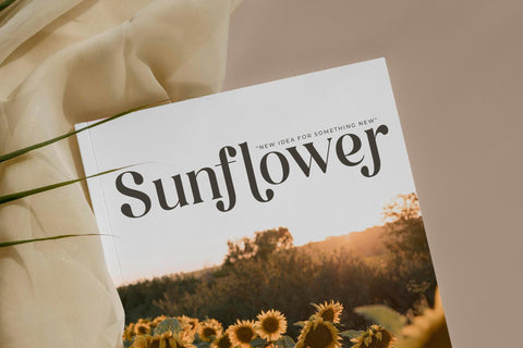 Regikan Typeface Font Storytype Studio 