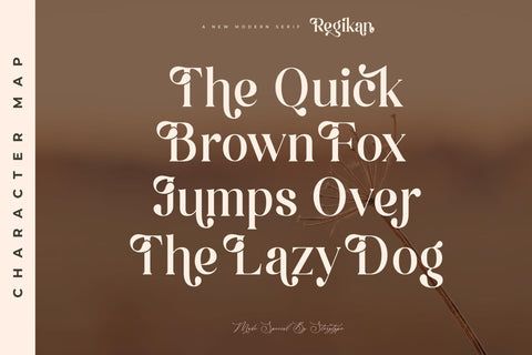 Regikan Typeface Font Storytype Studio 