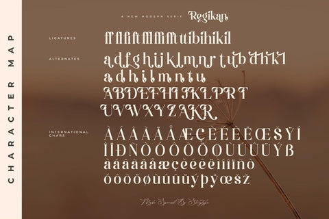 Regikan Typeface Font Storytype Studio 
