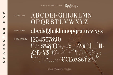 Regikan Typeface Font Storytype Studio 