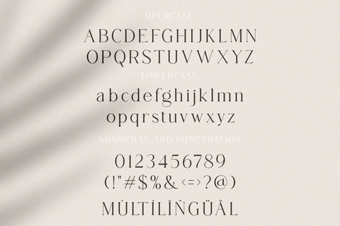 Regina_beautyful serif font Font toni_std 