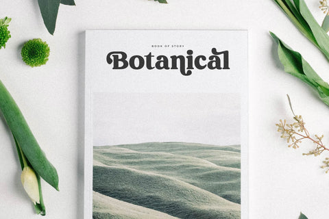 Regisha Typeface Font Storytype Studio 