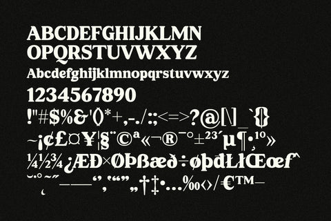 Regisha Typeface Font Storytype Studio 