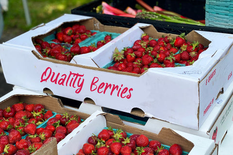 Regorden - Playful Font Dumadistyle 