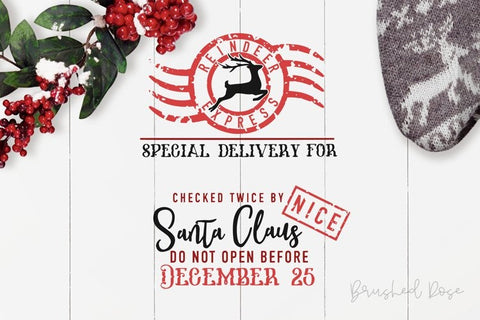 Reindeer express Santa sack svg, Christmas svg, Santa bag SVG Brushed Rose 