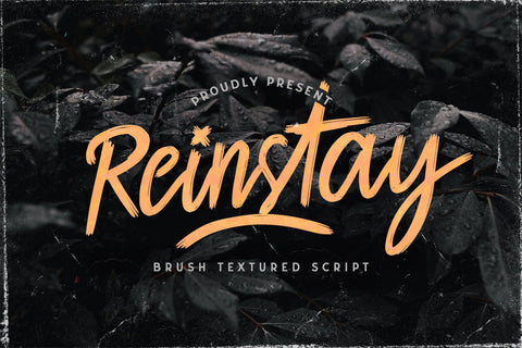 Reinstay - Brush Textured Script Font Font StringLabs 