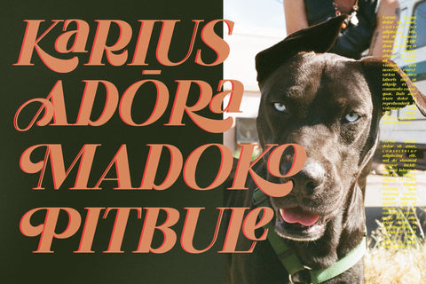 REKA Typeface Font Storytype Studio 