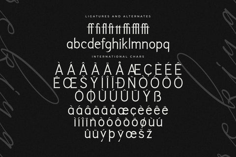 Rekiya Typeface Font Storytype Studio 