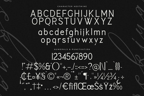 Rekiya Typeface Font Storytype Studio 