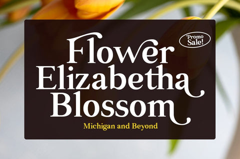 Rellita Display Font gatype 