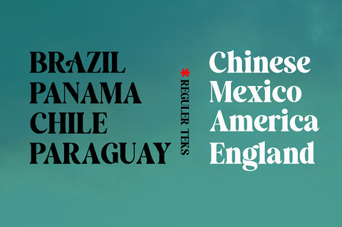 Remaid Typeface Font gatype 