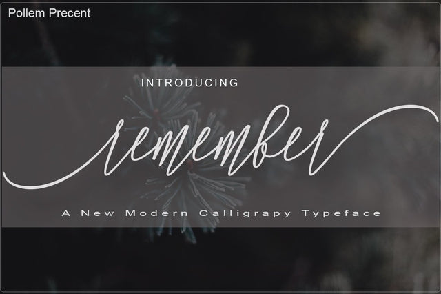 Remember SVG PolemStudio 