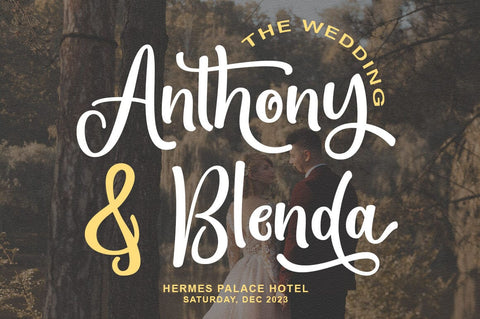 Renatha Font Rotterlab studio 