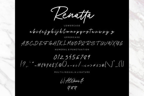 Renatta Signature Monoline Font Creatype Studio 