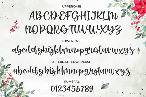 Renatta Walters - Modern Script Font Font Kotak Kuning Studio 